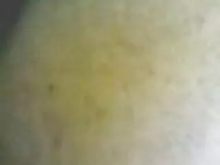 আগস্ট আমেস